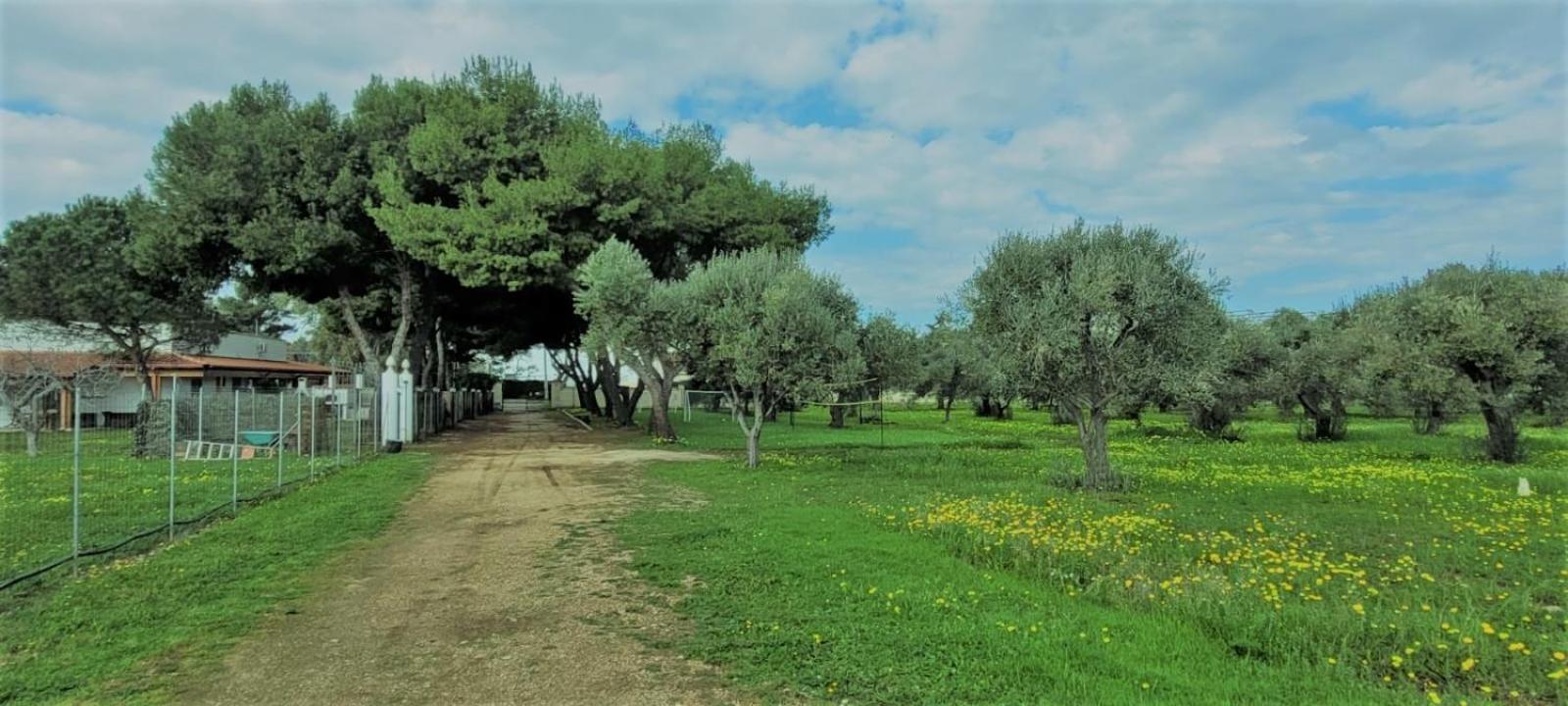 Villa Laura Bari Exterior foto