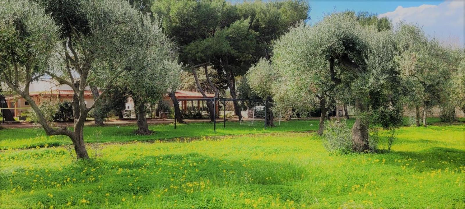 Villa Laura Bari Exterior foto